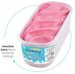 4 Kg Amerikan Sakızı