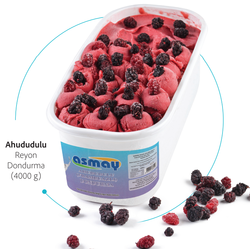 4 Kg Frambuazlı (Ahududu) Reyon Dondurma